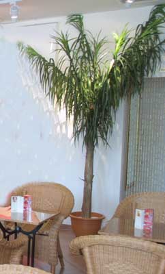 108-0814_IMG_web